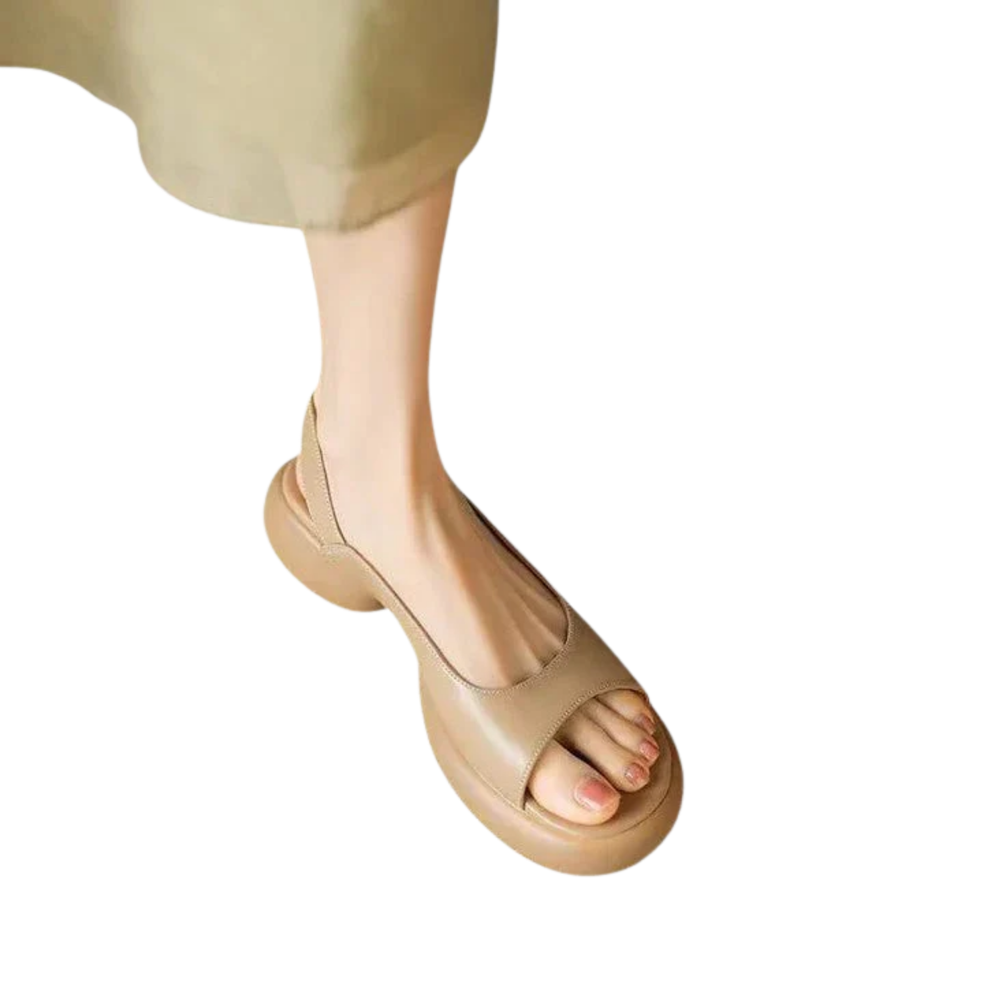 הלסיונ ווג